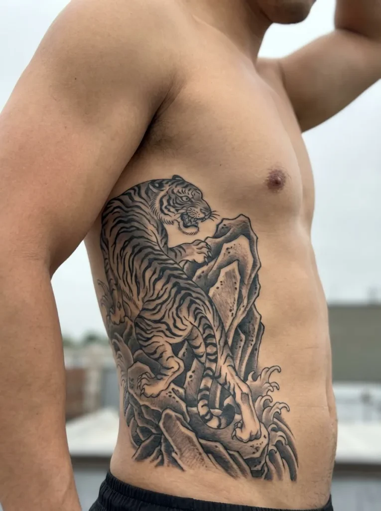 Tiger Climbing Rocks