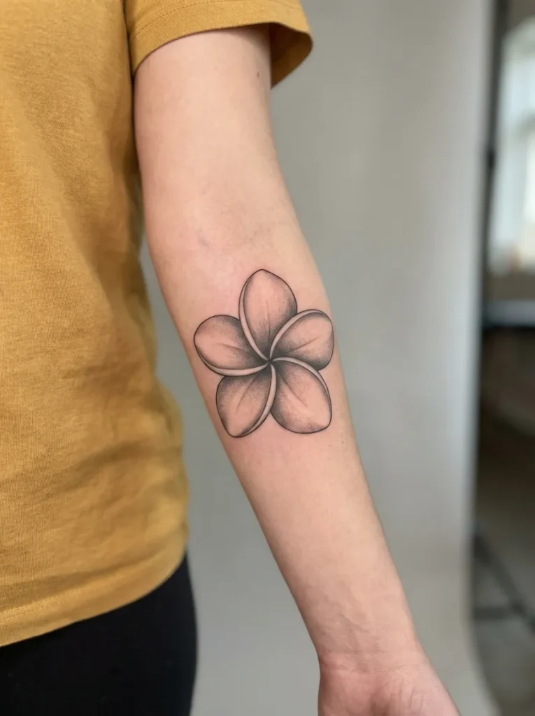 Black and Grey Plumeria Flower Tattoo