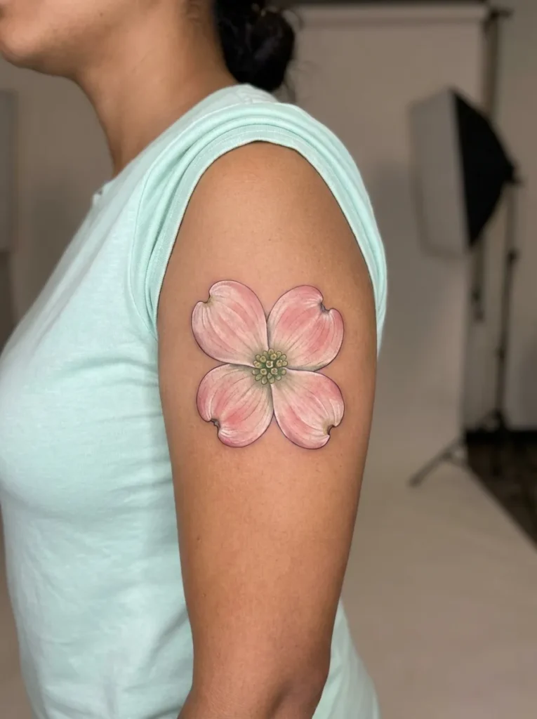 Dogwood Spring Blossom