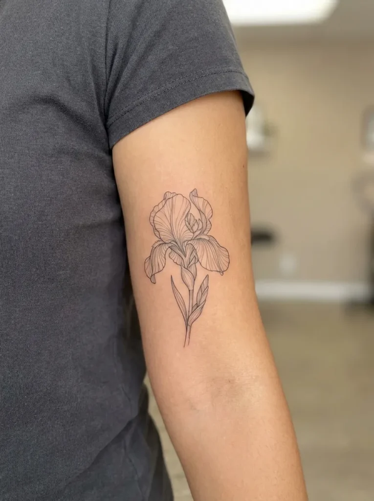 Fine Line Iris Flower