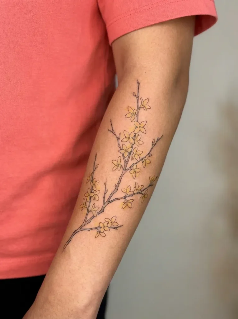 Forsythia Flower Branch