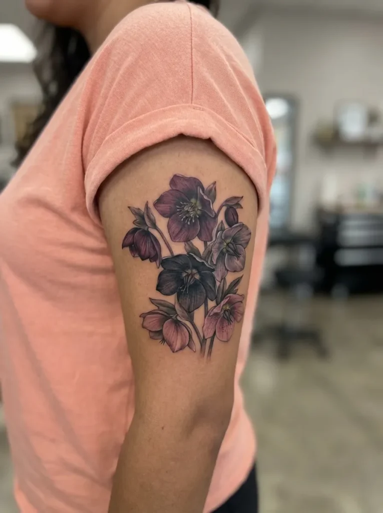 Hellebore Spring Flower