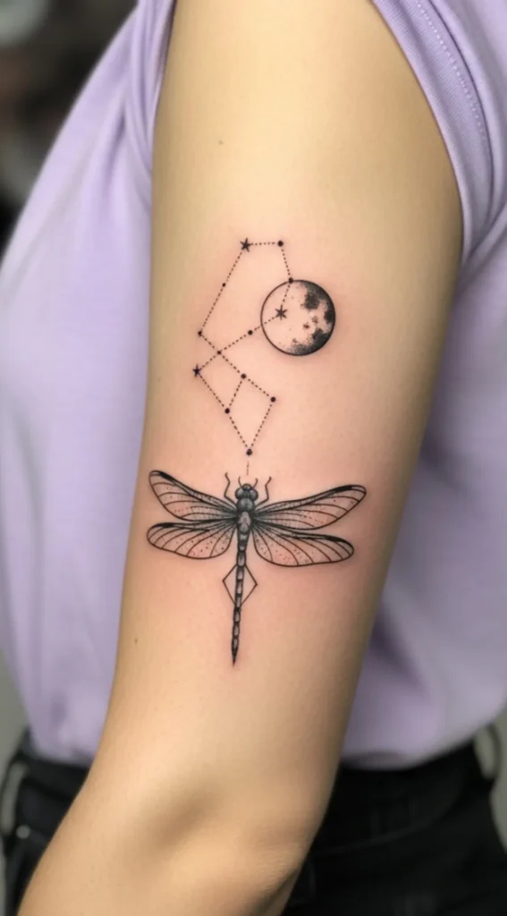 Dragonfly with Moon and Constellation